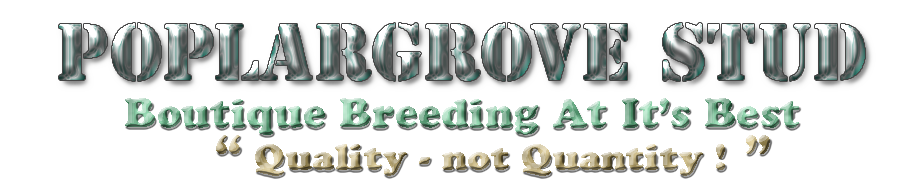 Poplargrove Stud quality not qunatity boutique breeding banner