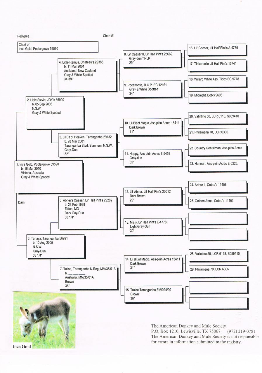 Poplargrove_Inca_Gold_Pedigree